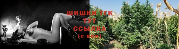 прущие грибы Касимов