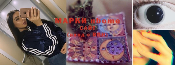 прущие грибы Касимов
