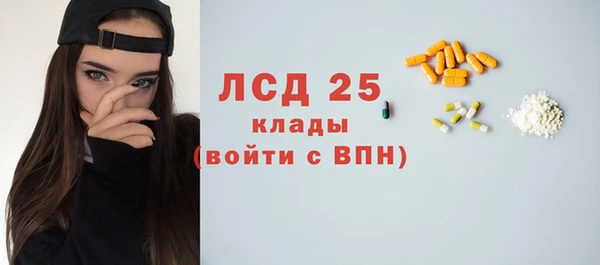 прущие грибы Касимов