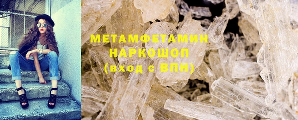 прущие грибы Касимов