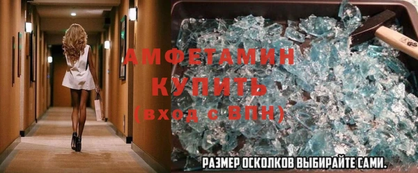 прущие грибы Касимов