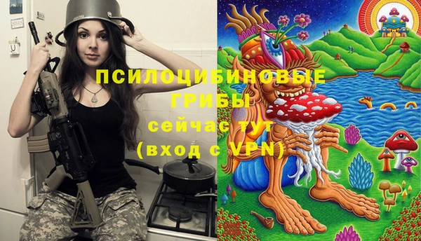 прущие грибы Касимов